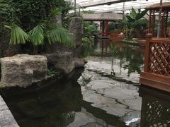 -汤山翠谷生态餐厅