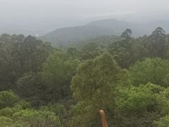 -水濂山森林公园