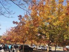 -青州市云门山风景区