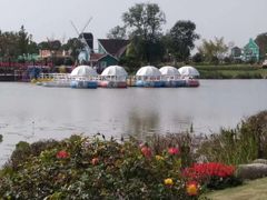 -荷兰花海