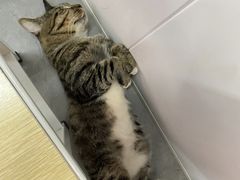 -孙记大碗皮肚面(后宰门店)