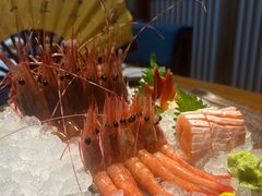 -月龍吟(朝龙汇店)