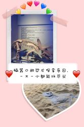 -恐龙探索乐园(磁器口店)