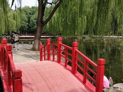 -玲珑塔公园
