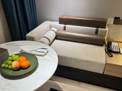 -深圳楚天大酒店(福田口岸深圳会展中心店)