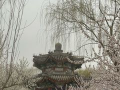 -皇家御河游(紫御湾码头)
