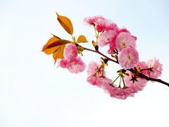 -荆川公园