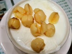 莲子双皮奶冻-义顺牛奶公司(新马路老店)