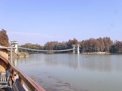 -东湖落雁景区