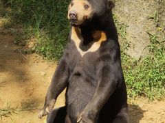 -杭州野生动物世界