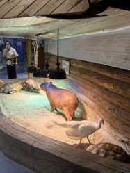 -Zoolung Zoolung动物主题公园(海信广场店)