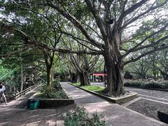 -海口火山口国家地质公园