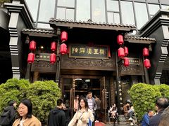 -陈麻婆豆腐总店
