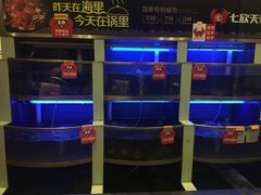 水产区-七欣天香辣蟹火锅(苏州东大街店)