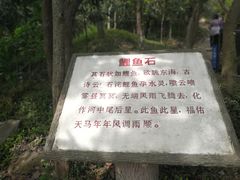 -上海佘山国家森林公园天马山园