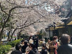 -玛格萝妮比萨屋(四平店)