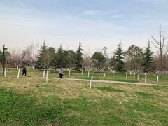 -洨河生态公园