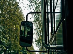 -合肥滨湖国家森林公园