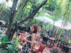 -Fern Forest Cafe