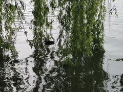 -西湖文化广场