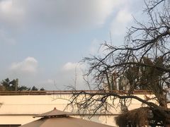 -悦哉·派对·草坪婚礼·围炉煮茶(三圣乡店)
