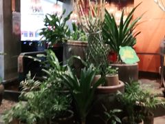-老客家·客家菜(万达店)