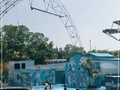 -深圳野生动物园