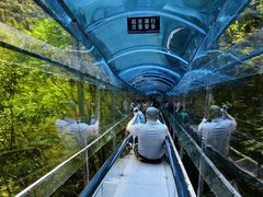 -鹿院坪生态旅游景区
