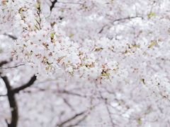 -西北湖绿化广场