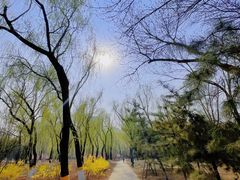 -太阳宫足球俱乐部