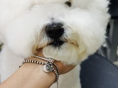 -乐琪宠物(青塔西路店)