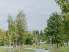 -南汇新城城市公园