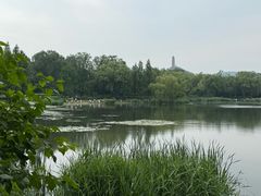 -北坞公园