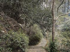 -宁波五龙潭景区