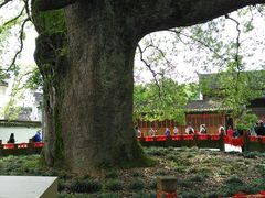 -新安江山水画廊风景区