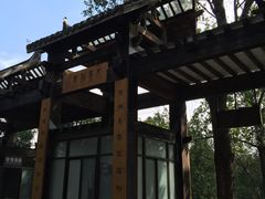 -溱湖国家湿地公园