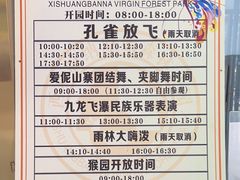 -西双版纳原始森林公园