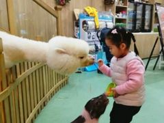 -藦茜花园宠物主题亲子互动体验馆(国顺东路店)