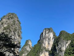 -明仕田园