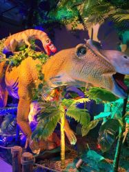 -恐龙探索乐园(磁器口店)