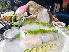 翅汤多宝鱼-观宴·品质赣菜(高新大道店)