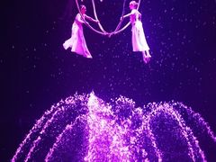 -广州长隆国际大马戏