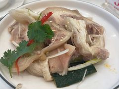 -新成海港大酒楼(康华路店)