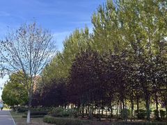 -哈尔滨师范大学(松北校区)