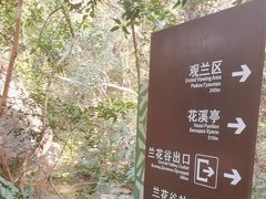 -亚龙湾热带天堂森林公园