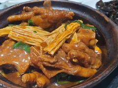 -熠盛粤味·顺德桑拿鸡(永康路店)