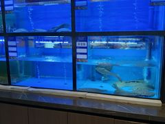 -聚宾楼·烤鸭·家宴(科技三路店)