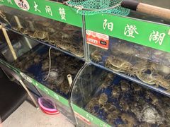 -阳澄湖大闸蟹·琼灵阁牌品牌连锁(吴中总店)
