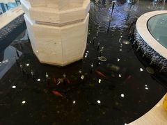 -碧中海汤泉汗蒸酒店