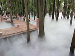 -东湖落雁景区